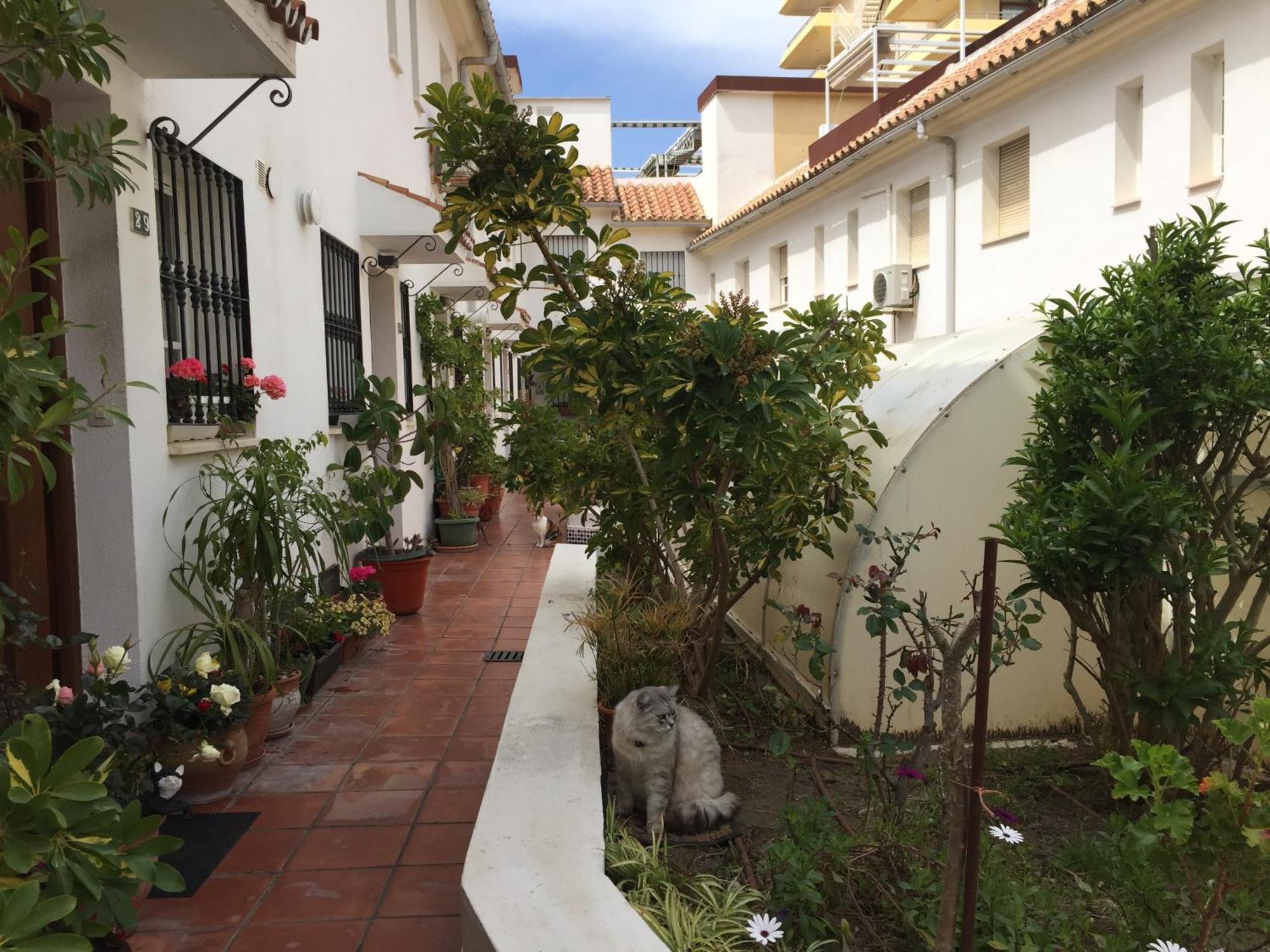 El Cortijuelo. Magnificent Triplex Terraced House With Rooftop Of 18M2, Overlooking The Sea. Parking 托雷莫利诺斯 外观 照片